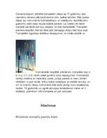 Konspekts 'Konspekts par trompešu attīstību', 5.