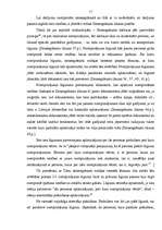 Referāts 'Darījumu nostiprināšana zemesgrāmatā', 11.