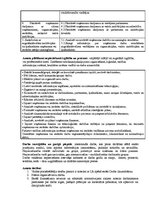 Paraugs 'Valdes priekšsēdētāja amata apraksts', 2.