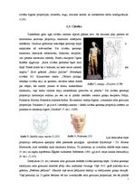 Referāts 'Zelta griezums', 7.