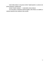 Referāts 'Zelta griezums', 12.