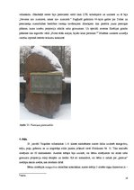 Referāts 'Zelta griezums', 19.