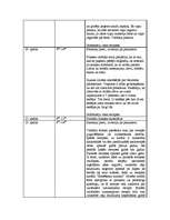 Prakses atskaite 'Prakses atskaite', 30.