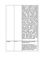 Prakses atskaite 'Prakses atskaite', 32.