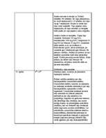 Prakses atskaite 'Prakses atskaite', 33.