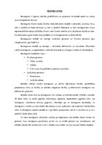 Paraugs 'Iesniegums. Kā to uzrakstīt? Paraugi', 1.