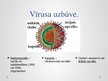 Prezentācija 'Vīrusu raksturojums', 3.