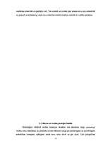 Diplomdarbs 'Priekšstati par profesijas izvēli no vecāku un bērnu pozīcijām', 15.