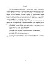 Referāts 'Nelegālās nodarbinātības problēmas Latvijā', 3.