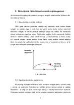 Referāts 'Nelegālās nodarbinātības problēmas Latvijā', 5.