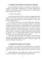 Referāts 'Nelegālās nodarbinātības problēmas Latvijā', 8.