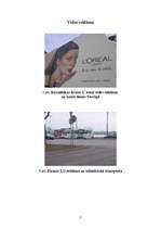 Referāts 'Mārketinga vides ietekme uz uzņēmuma darbības rezultātiem tirgū', 5.