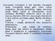Prezentācija 'Cauruļvadu transports Latvijā', 3.