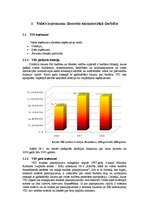 Prakses atskaite 'Prakse Valsts ieņēmumu dienestā', 5.