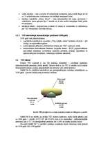 Prakses atskaite 'Prakse Valsts ieņēmumu dienestā', 15.