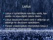 Prezentācija 'Nokrišņu veidi', 3.