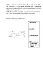 Referāts 'Demogrāfija Latvijā', 10.