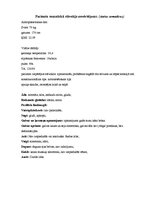 Prakses atskaite 'Aprūpes plāns reimatoīdais artrīts', 6.