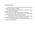 Prakses atskaite 'Aprūpes plāns reimatoīdais artrīts', 19.