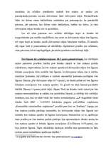 Diplomdarbs 'Dzīvojamās telpas īres līguma izbeigšana', 43.
