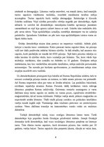 Referāts 'Demokrātijas jēdziens, būtība, vēstures formas', 6.