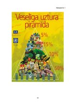 Diplomdarbs 'Pacientu ēšanas paradumi pirms gastroenteroloģiskām saslimšanām', 44.