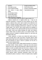 Referāts 'Konkurences faktora loma tirgzinībās', 26.