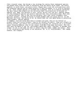 Eseja 'Zoos: The Reality of It All', 2.