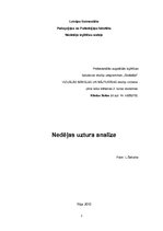 Paraugs 'Nedēļas uztura analīze', 1.