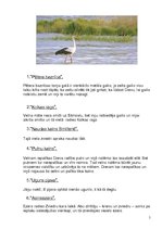 Referāts 'Pētījums par latviešu tautas pasakām un teikām', 5.