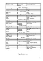 Referāts 'Pētījums par latviešu tautas pasakām un teikām', 7.