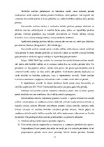 Diplomdarbs 'SIA "Nitts" finanšu rezultātu un rentabilitātes uzlabošanas iespējas', 17.