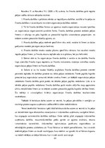 Diplomdarbs 'SIA "Nitts" finanšu rezultātu un rentabilitātes uzlabošanas iespējas', 23.