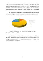 Diplomdarbs 'SIA "Nitts" finanšu rezultātu un rentabilitātes uzlabošanas iespējas', 30.