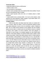 Referāts 'Aktuālākās problēmas ētikas kodeksu īstenošanā', 9.