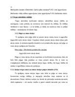 Referāts 'Emitenta finanšu analīze', 14.