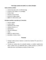 Konspekts 'Personālmenedžments', 14.