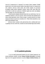 Referāts 'Grāmatu iespiešanas aizsākumi', 13.