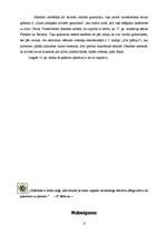 Referāts 'Grāmatu iespiešanas aizsākumi', 15.