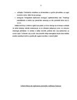 Referāts 'Darba motivācijas sistēma uzņēmumā', 12.