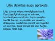 Prezentācija 'Liliju dzimta', 3.