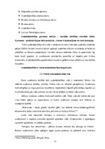 Diplomdarbs 'Uzņēmuma "Bute" jauna produkta izstrādes plāna izveide', 17.