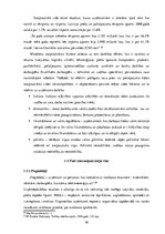 Diplomdarbs 'Uzņēmuma "Bute" jauna produkta izstrādes plāna izveide', 28.