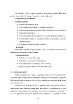 Diplomdarbs 'Uzņēmuma "Bute" jauna produkta izstrādes plāna izveide', 48.