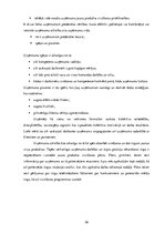 Diplomdarbs 'Uzņēmuma "Bute" jauna produkta izstrādes plāna izveide', 58.