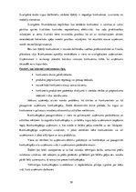 Diplomdarbs 'Uzņēmuma "Bute" jauna produkta izstrādes plāna izveide', 61.