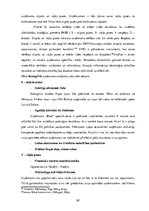 Diplomdarbs 'Uzņēmuma "Bute" jauna produkta izstrādes plāna izveide', 67.