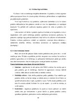 Diplomdarbs 'Uzņēmuma "Bute" jauna produkta izstrādes plāna izveide', 87.