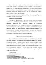 Diplomdarbs 'Uzņēmuma "Bute" jauna produkta izstrādes plāna izveide', 96.