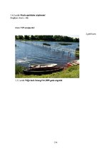 Diplomdarbs 'Uzņēmuma "Bute" jauna produkta izstrādes plāna izveide', 116.